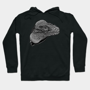 Rhinoceros iguana lizard Hoodie